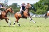 UKPA NC SAT_2641